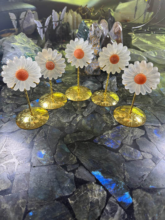 Selenite Daisy with Gold Stand - Powers Gems
