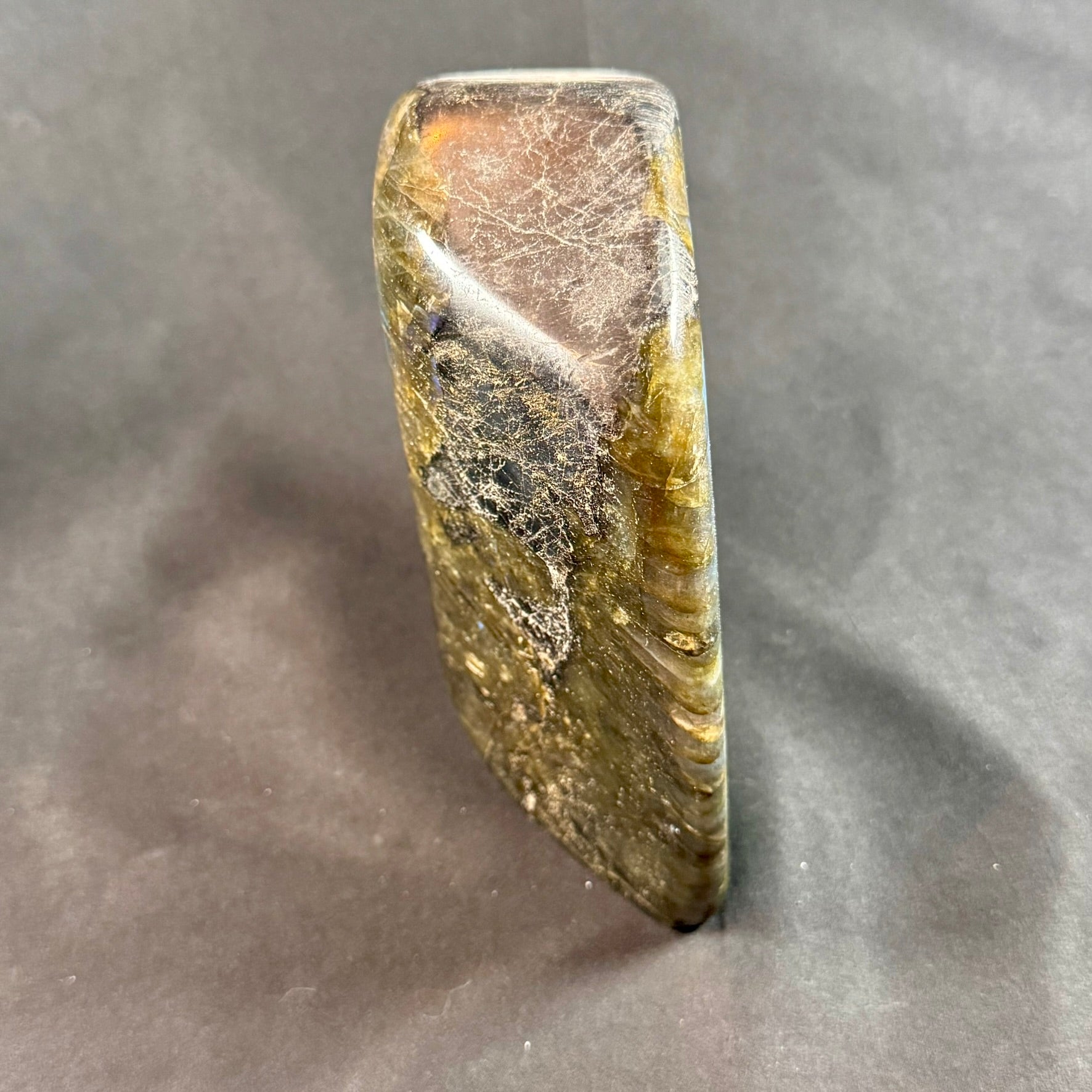 Labradorite Freeform Polished - Powers Gems